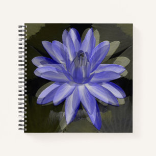 Schöne blaue Lilie...... Notizbuch