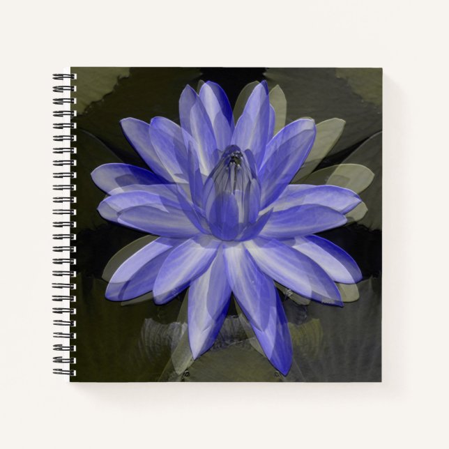 Schöne blaue Lilie...... Notizbuch (Vorderseite)