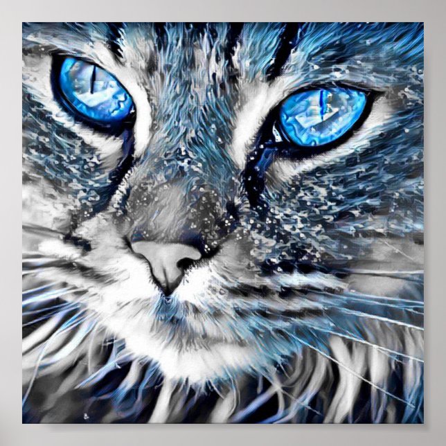 Schöne blaue mit Augen Katze Poster (Vorne)