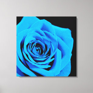 Schöne blaue Rose Leinwanddruck