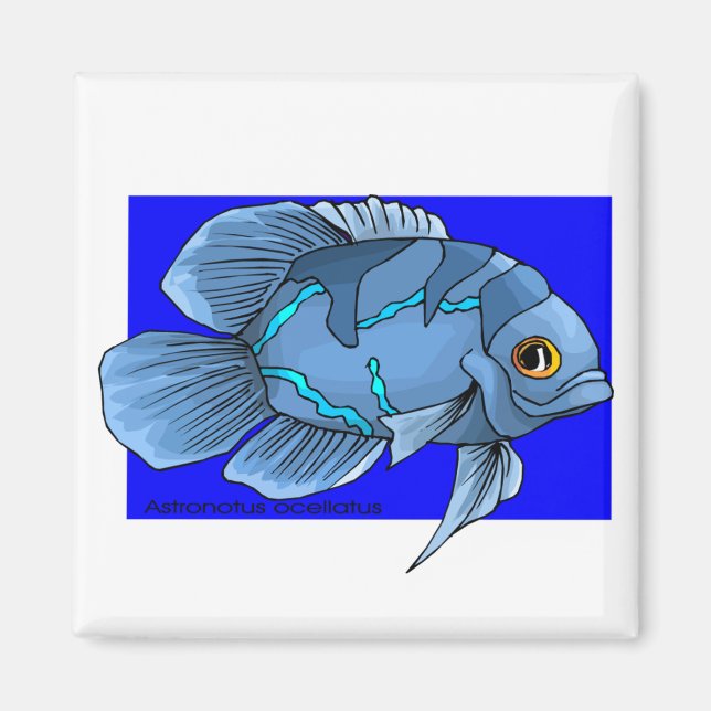 Schöne blaue tropische Oscar-Fische Magnet (Vorne)
