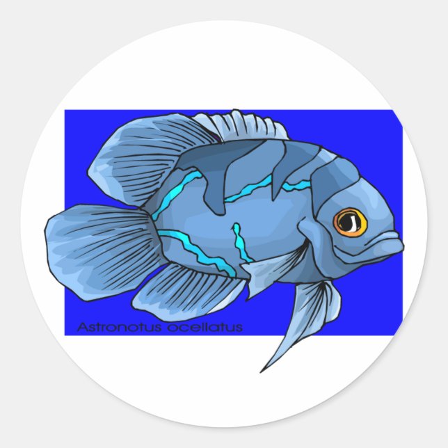 Schöne blaue tropische Oscar-Fische Runder Aufkleber (Vorderseite)