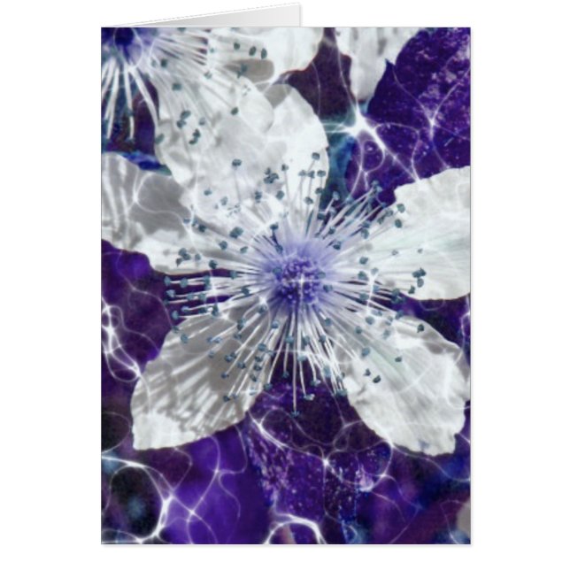 Schöne Blossom-Blume (Vorne)