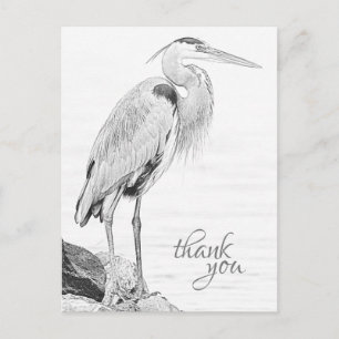 Schöne Blue Heron Water Bird Sketch Vielen Dank Postkarte