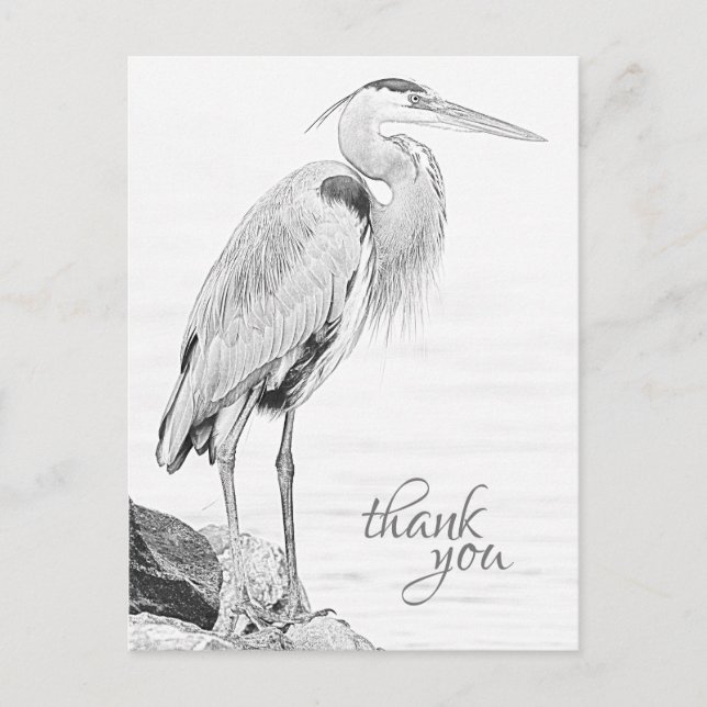 Schöne Blue Heron Water Bird Sketch Vielen Dank Postkarte (Vorderseite)