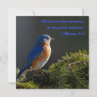 Schöne Bluebird-Beileid-Karte Matthew 5:4 Feiertagskarte
