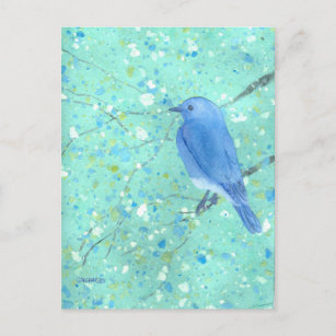 Schöne Bluebird Postcard Postkarte