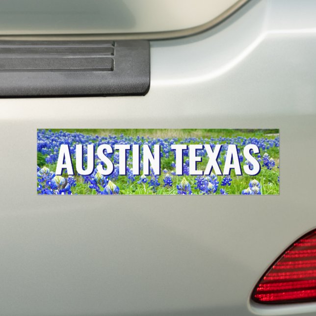 Schöne Bluebonnets Austin Texas Fotografie Autoaufkleber (Auf Auto)