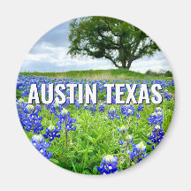 Schöne Bluebonnets Austin Texas Fotografie