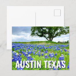 Schöne Bluebonnets Austin Texas Fotografie Postkarte