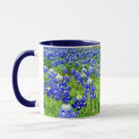Schöne Bluebonnets Texas Fotografie