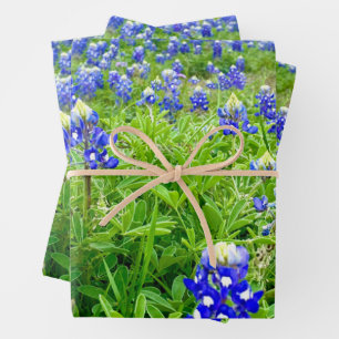 Schöne Bluebonnets Texas Fotografy Geschenkpapier Set