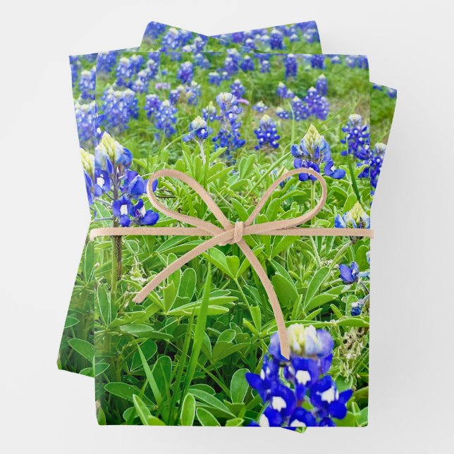 Schöne Bluebonnets Texas Fotografy Geschenkpapier Set (Beispiel)