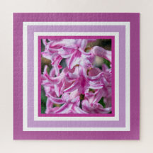 Schöne blühende Frühlingshyazinthe Fragrant Blume