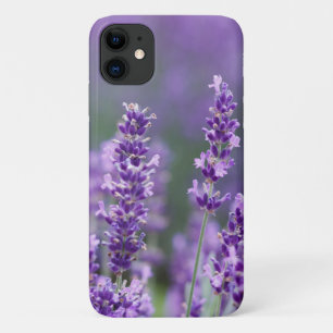 Schöne blühende Lavendel-Blume Case-Mate iPhone Hülle