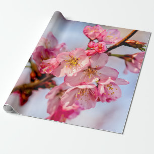 Schöne Blume aus rosa Sakura Geschenkpapier