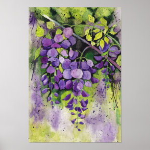 Schöne Blume der Wisteria Poster