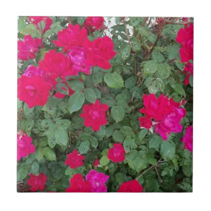 Schöne Blume Fliese