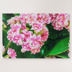 Schöne Blume in Weiß und Rosa Puzzle