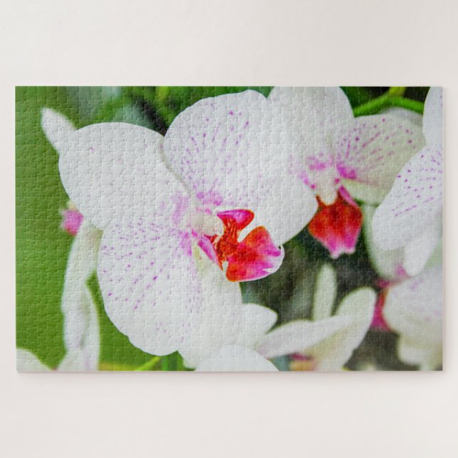 Schöne Blume in Weiß und Rot Puzzle (Horizontal)