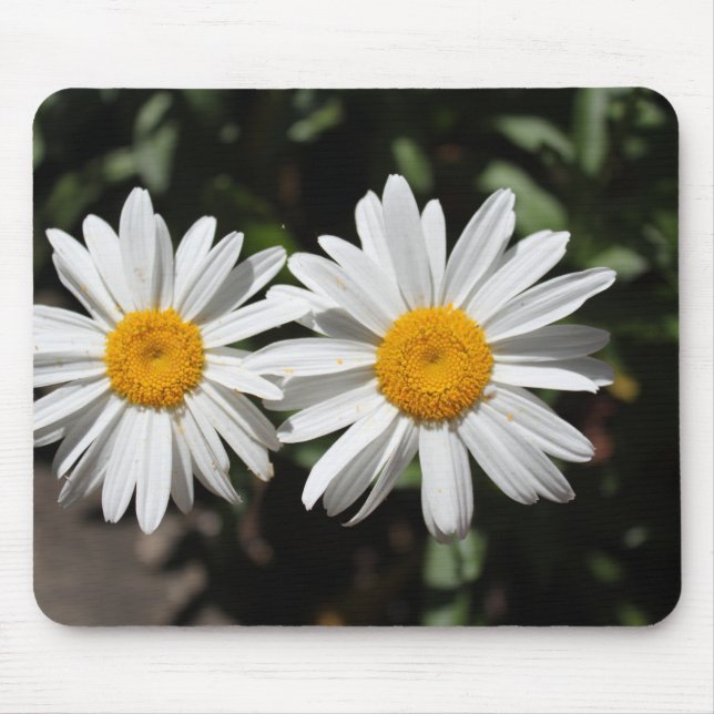 Schöne Blume in weißer Farbe. Mousepad (Vorne)