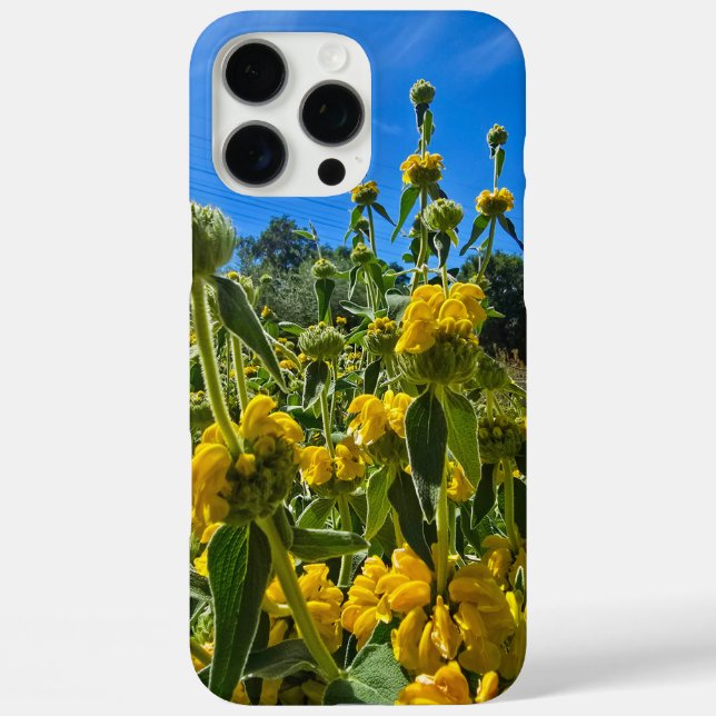 schöne Blume Jerusalem Case-Mate iPhone Hülle (Rückseite)