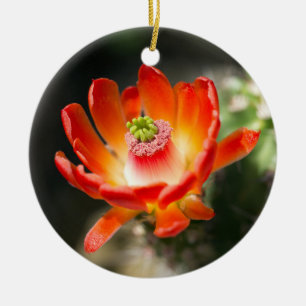 Schöne Blume Keramik Ornament