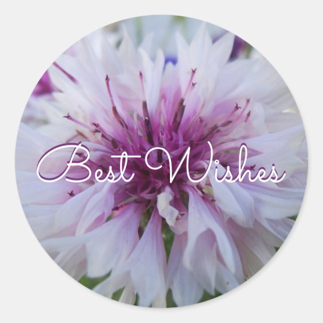 Schöne Blume. Klassischer Rundaufkleber Runder Aufkleber (Vorderseite)