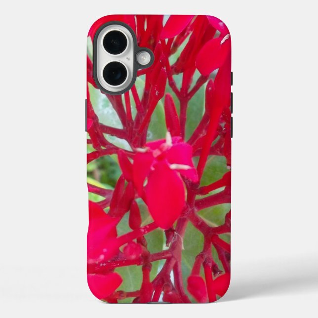 Schöne Blume Milkweed Art Print/Graphic Case-Mate iPhone Hülle (Rückseite)