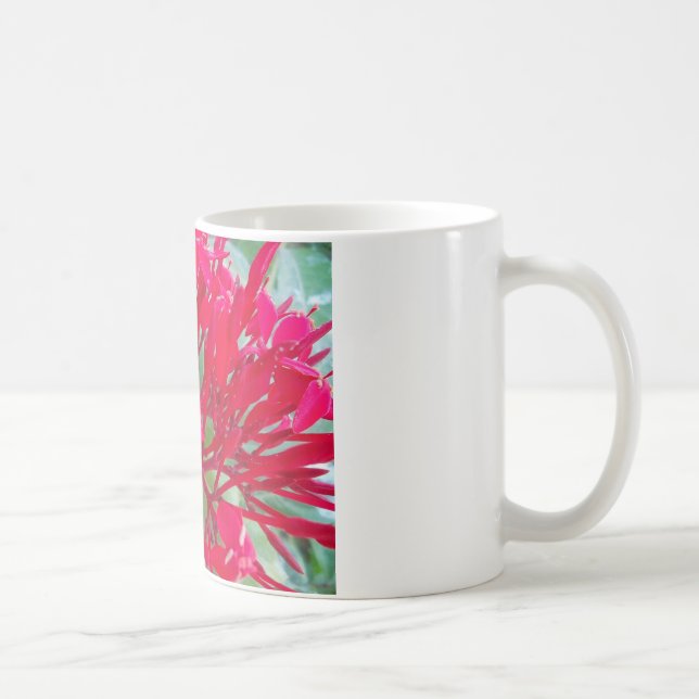Schöne Blume Milkweed Art Print/Graphic Kaffeetasse (Rechts)