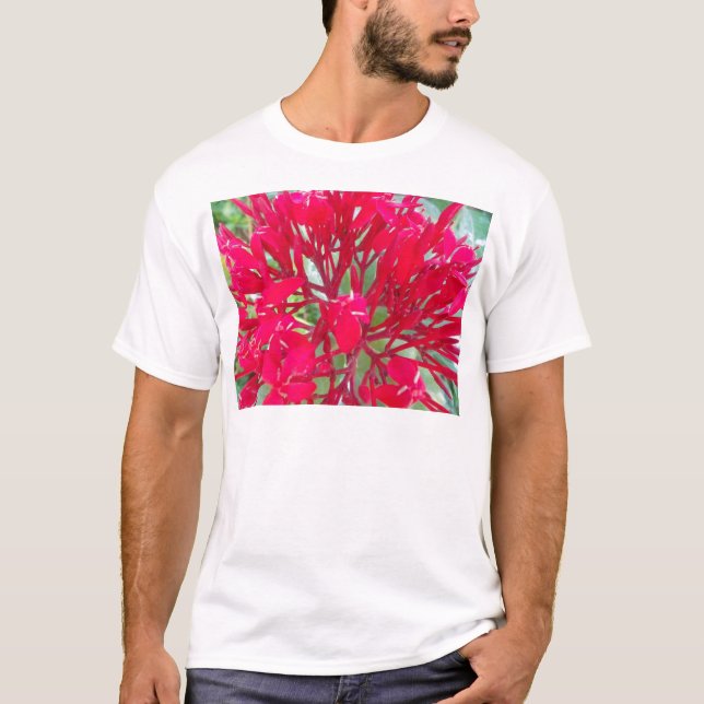 Schöne Blume Milkweed Art Print/Graphic T-Shirt (Vorderseite)