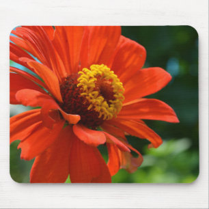 Schöne Blume mit orangefarbenen Blumen Mousepad