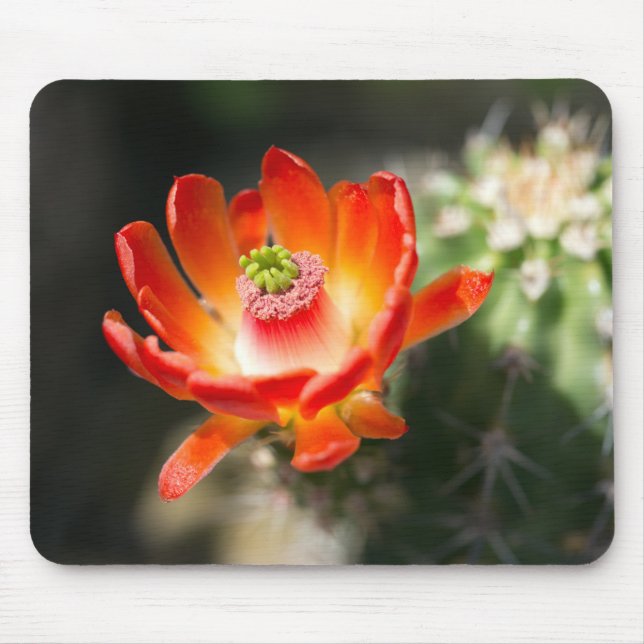 Schöne Blume Mouse Mat Mousepad (Vorne)