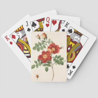 Schöne Blume Pflanze Spielkarten