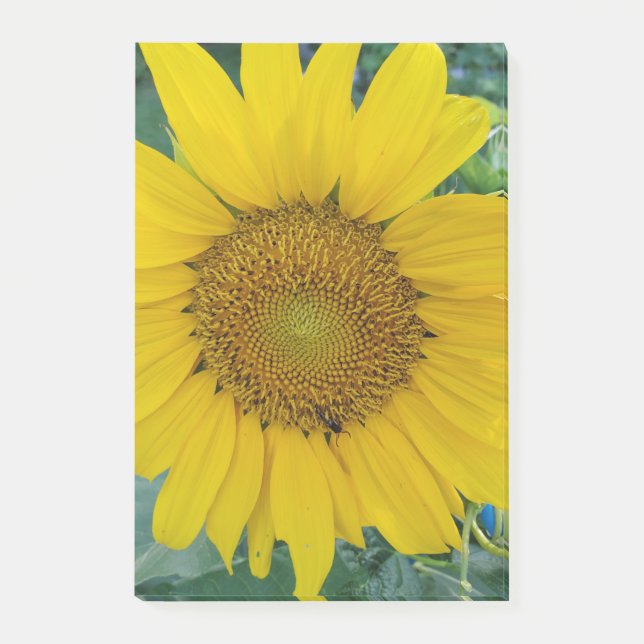 Schöne Blume Post-it Klebezettel (Vorderseite)