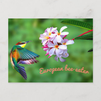 Schöne Blume Postkarte