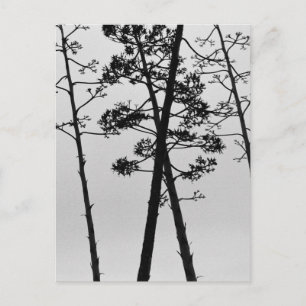 Schöne Blume Postkarte