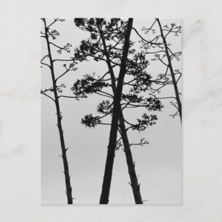 Schöne Blume Postkarte