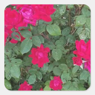 Schöne Blume Quadratischer Aufkleber