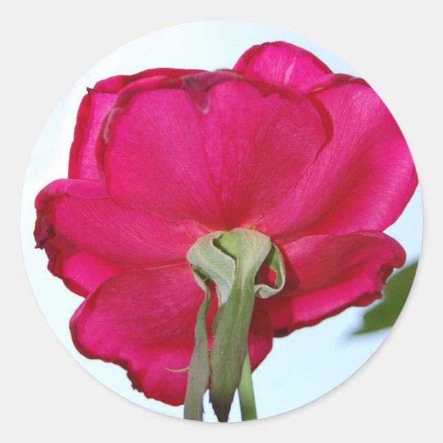 Schöne Blume Runder Aufkleber (Vorderseite)