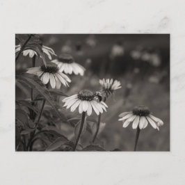 Schöne Blume schöne Kunstfotografie. Postkarte