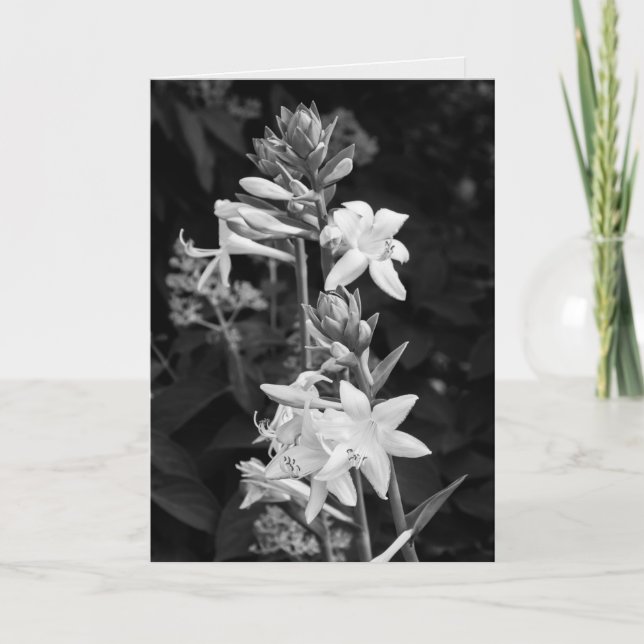 Schöne Blume Schwarz-Weiß-Muttertag Karte (Vorderseite)