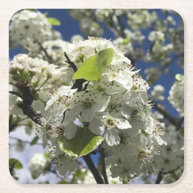 Schöne Blume Untersetzer Set (Vorderseite)