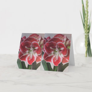 SCHÖNE BLUME & WÜNSCHE FÜR SIE IM LETZTEN FEIERTAGSKARTE