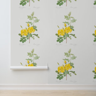 Schöne Blume Yellow Rose Garden Tapete