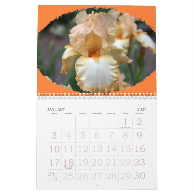 Schöne Blumen alles Jahr lang Kalender (Jan 2027)