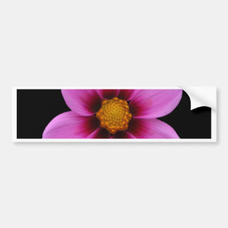 Schöne Blumen Autoaufkleber