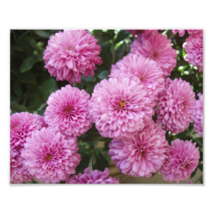 Schöne Blumen Foto Druck