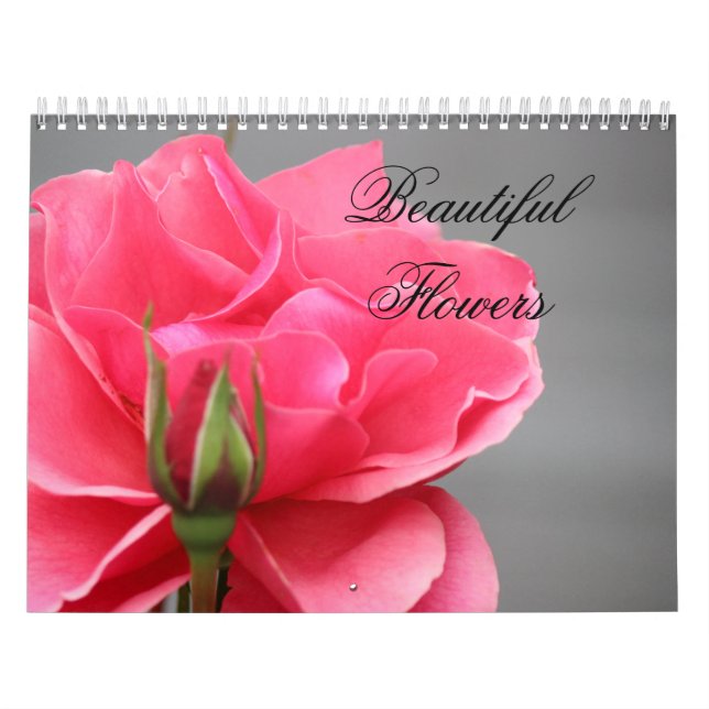 Schöne Blumen Kalender (Titelbild)