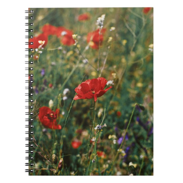 SCHÖNE BLUMEN NOTIZBLOCK (Vorderseite)